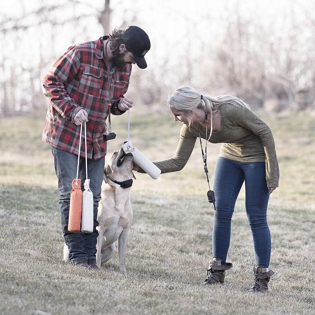 Competition Mega Whistle - Hunting Dog Training Whistle with Easy-to-Blow Design - Protects Handlers Ear - Black